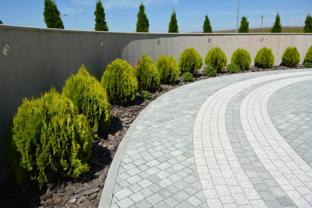 Best Custom Driveway Pavers  in Heritage Village, CT